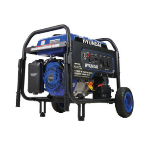 Generador Hyundai 11,500 Watts Profesional - Thor10000